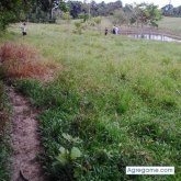 Chatear con jhonrodriguezospuna de Ayapel