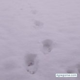 wilsolmontagua chico soltero en Tunuyán