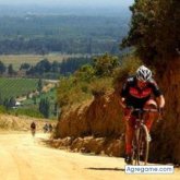 Piolin Piolin Piolin