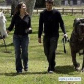 mauriciomartinez7838