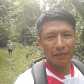 jeinertapullima