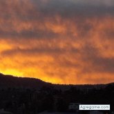 Douglastutty chico soltero en Obrajes