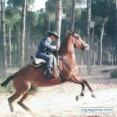 Rociero chico soltero en Córdoba