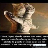 JKPROMETEO chico soltero en Chihuahua