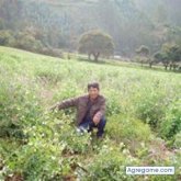 Jose Palomino Grande