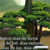 Cesar Eduardo