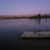 Busco ligar. De todo un poco.