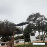 Hemmler Zoloaga Tomairo