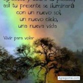 15martin73 chico soltero en Quirihue