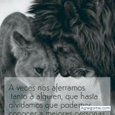 jesus71425