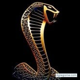 Chatear con amier de Altus