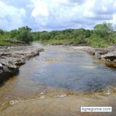jazar3871 foto #11