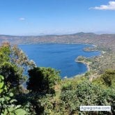 Busco pareja. Mujer. Cariñoso. Mujeres