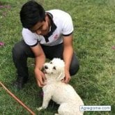 Busco ligar. Mujeres.