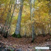 Chatear con triker_ de Pamplona