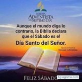 Chatear con joelflores4868 de Nashua