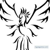 Chatear con robkert de Tlalpan