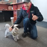 Diversion, cocinar, dormir. Son un