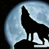 alcide chico soltero en La Plata