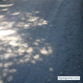 Chatear con Sansonn de Llanquihue