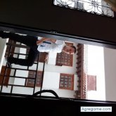 Foto de perfil de NioAnto
