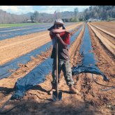 Busco mujeres gorditas gueras. Hombre