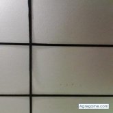 miguelpalacio8576 chico soltero en Bugaba