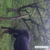 Chatear con kimetz de Hernani