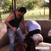 elcoleador chico soltero en Maturín