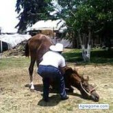 Chatear con alvertogonzalez de Molango De Escamilla