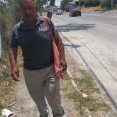pacomontelongo
