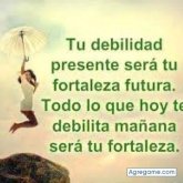 davidrojas6387 foto #14