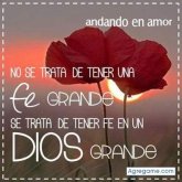 Nelson_Gz chico soltero en Parramos