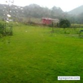 musa chica soltera en Sevilla