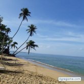 Busco chatear. Conocer mujeres con las