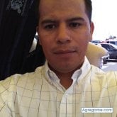 Alfref
