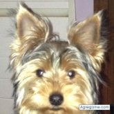 Foto de perfil de joseluis5503