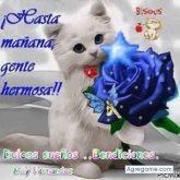 Desireelozada foto #180