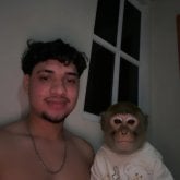 Joshws