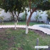 Busco conocer gente. Chicas divertida.