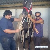 rrodney chico soltero en Barra De Maldonado