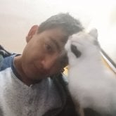 Diversión sin compromiso. Guapo y