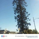 miguelquevedoramon chico soltero en Tijuana