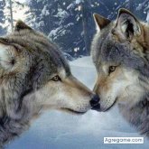 Chatear con robertd3564 de San Jacinto