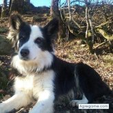 Busco conocer gente.