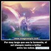 rgutierrez chico soltero en San Pablo