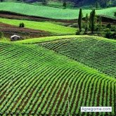 arielramirez2766 foto #8