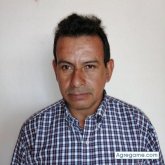 Calichepinzon chico soltero en Sogamoso