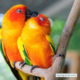 arnol1 chico soltero en Rivadavia