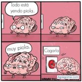 Ver fotos más de Federico0220